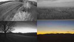 Sdružený snímek Bludný