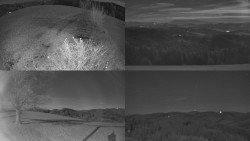 Sdružený snímek Bludný