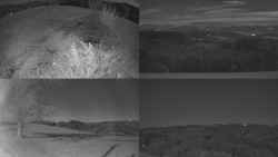 Sdružený snímek Bludný