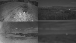 Sdružený snímek Bludný