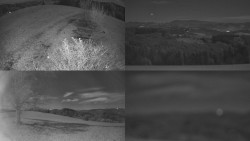 Sdružený snímek Bludný