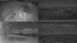 Sdružený snímek Bludný