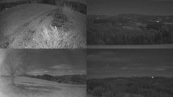 Sdružený snímek Bludný