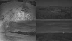 Sdružený snímek Bludný