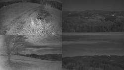 Sdružený snímek Bludný