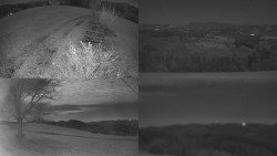 Sdružený snímek Bludný