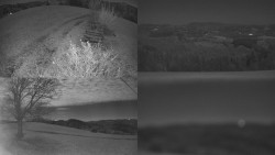 Sdružený snímek Bludný