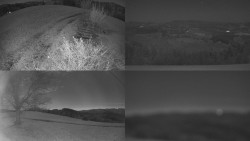 Sdružený snímek Bludný