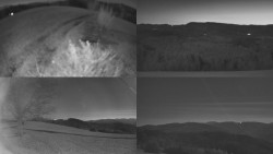 Sdružený snímek Bludný