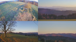 Sdružený snímek Bludný