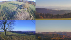 Sdružený snímek Bludný