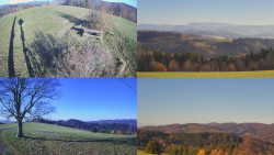 Sdružený snímek Bludný