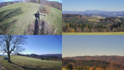 Sdružený snímek Bludný