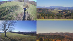 Sdružený snímek Bludný