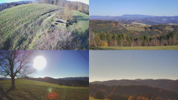 Sdružený snímek Bludný