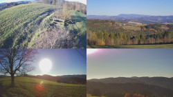 Sdružený snímek Bludný