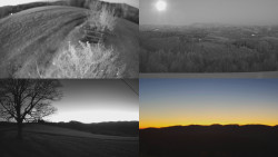 Sdružený snímek Bludný