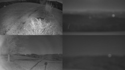 Sdružený snímek Bludný