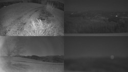 Sdružený snímek Bludný