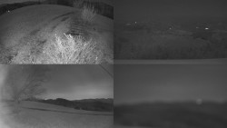 Sdružený snímek Bludný