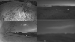 Sdružený snímek Bludný