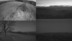 Sdružený snímek Bludný