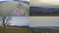 Sdružený snímek Bludný