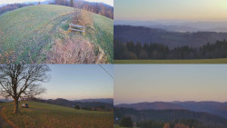 Sdružený snímek Bludný