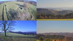 Sdružený snímek Bludný