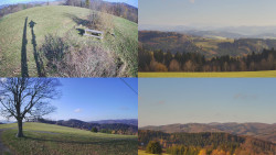 Sdružený snímek Bludný