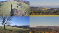 Sdružený snímek Bludný