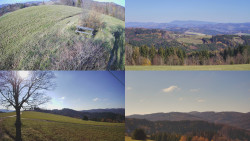 Sdružený snímek Bludný