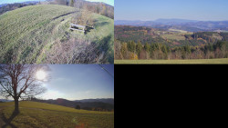 Sdružený snímek Bludný