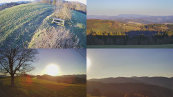 Sdružený snímek Bludný