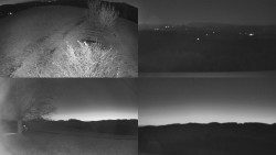 Sdružený snímek Bludný