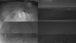 Sdružený snímek Bludný