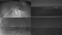 Sdružený snímek Bludný