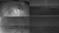 Sdružený snímek Bludný