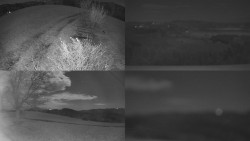 Sdružený snímek Bludný