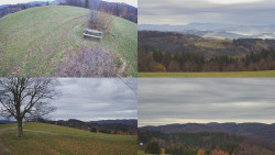 Sdružený snímek Bludný