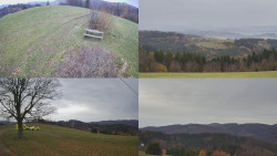 Sdružený snímek Bludný