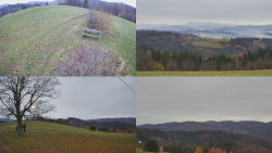 Sdružený snímek Bludný