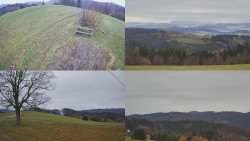 Sdružený snímek Bludný