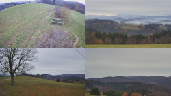 Sdružený snímek Bludný