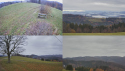 Sdružený snímek Bludný