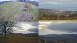 Sdružený snímek Bludný