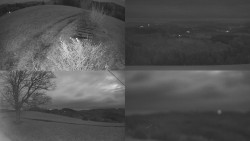 Sdružený snímek Bludný