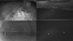 Sdružený snímek Bludný