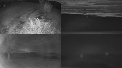 Sdružený snímek Bludný