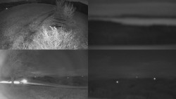 Sdružený snímek Bludný